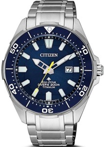 Zegarek męski CITIZEN BN0201-88L