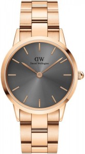 Zegarek Damski Daniel Wellington  DW00100334