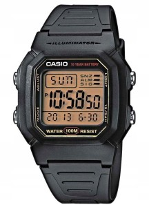 Zegarek męski CASIO W-800HG-9AVDF