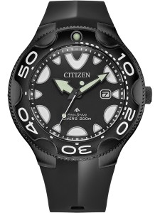 Zegarek męski CITIZEN BN0235-01E