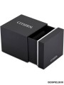 citizen_box_163.jpg