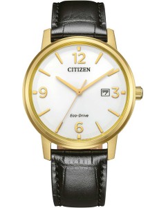 Zegarek męski CITIZEN BM6756-01A