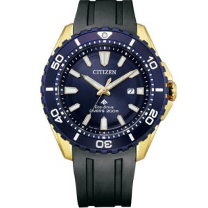 Zegarek męski CITIZEN Eco-Drive BN0196-01L