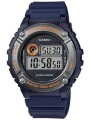 pol_po_Zegarek-Meski-Casio-W-216H-2BVDF-BOX-53848_2.jpg