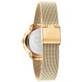pol_po_ZEGAREK-DAMSKI-TOMMY-HILFIGER-1782699-Demi-zf609a-BOX-55624_5.jpg