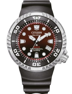 Zegarek Citizen BN1024-01Z