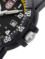 xs.0325_crown.jpg