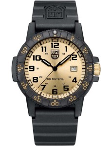 Zegarek Luminox XS.0325.GP