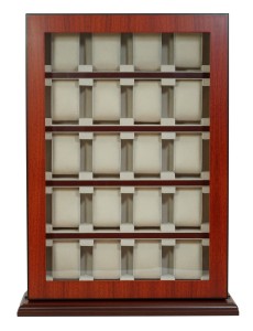 Pudełko na zegarki Rothenschild RS-1100-20MA