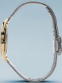 17031-010_band.jpg