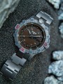 110668_day_brown_titanium.jpg