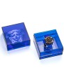 vez700521_box.jpg