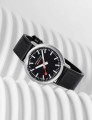 mst.41020.lbv.2se_2.jpg
