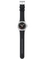 msn.42120.rb-flt-_2025_.jpg