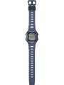 ws-b1000-2avef_or09_bandview_web.jpg