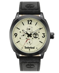 Zegarek Timberland Guelph-Z TDWGF9001803