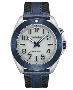 Zegarek Timberland Warrick TDWGP2201603