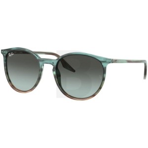 Okulary przeciwsłoneczne Ray-Ban RB2204 1394GK 51
