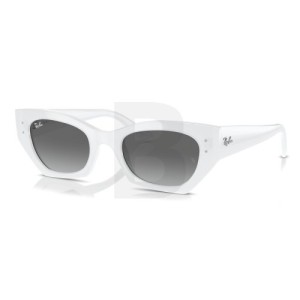 Okulary Ray-Ban RB4430 675911 49