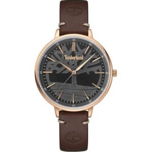 Zegarek Timberland TBL.15261MSR/61