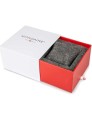 mondaine-box_61.jpg