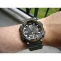 Zegarek męski Casio AQ-S810W-3AVEF